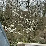 La Petite Maison Dom wakacyjny Durbuy