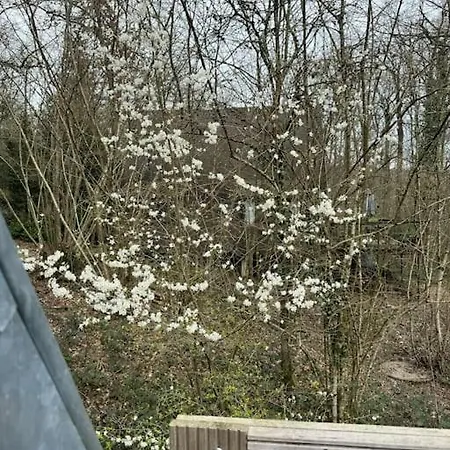 La Petite Maison Дом отдыха Дюрбюи