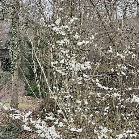 La Petite Maison Дом отдыха