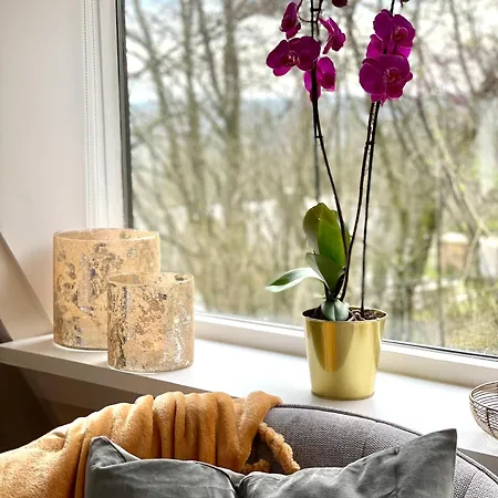 Дом отдыха La Petite Maison *