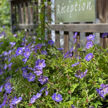 Дом отдыха La Petite Maison *