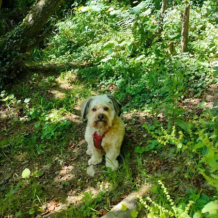 La Petite Maison Дом отдыха *